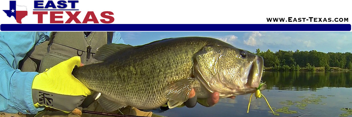 Lake Fork in East Texas, location, maps, fishing, lake levels, lodging and area attractions