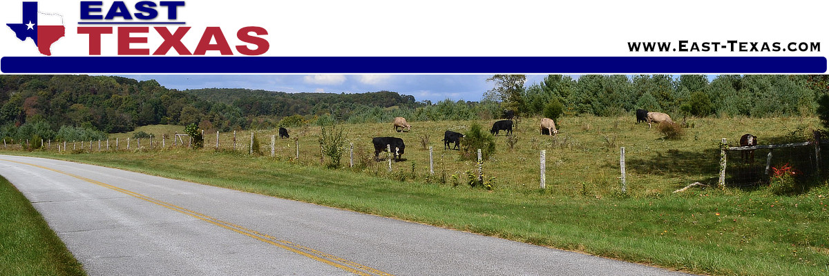 The City of Noonday in East Texas, location, map and area attractions