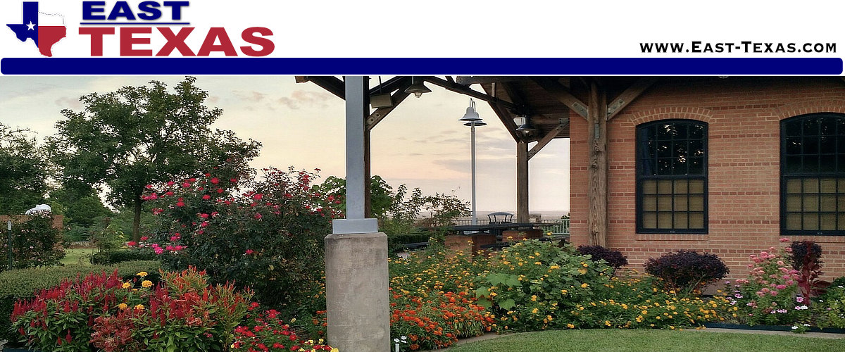 Love's Lookout near Jacksonville, Texas