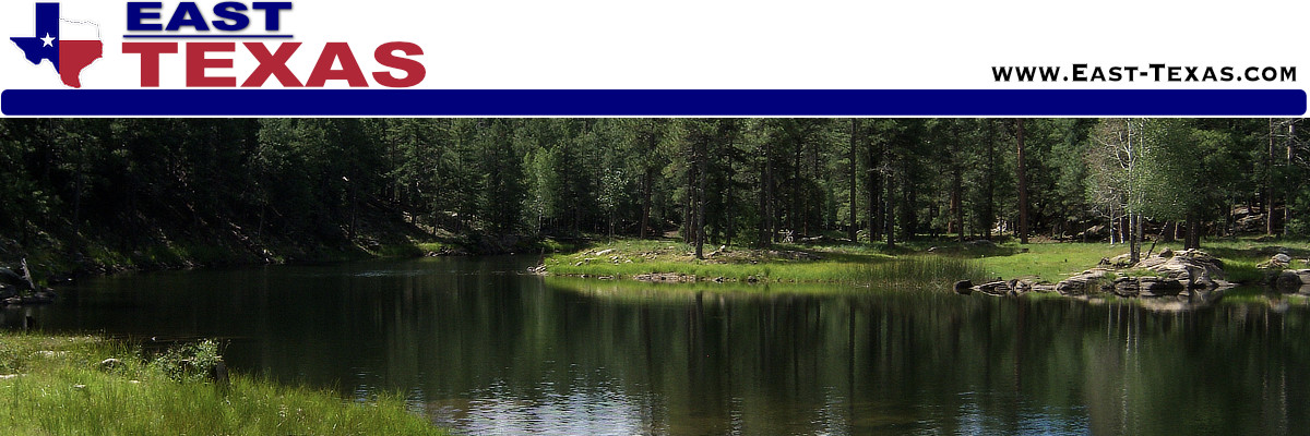 Caddo Lake in East Texas: location, maps, photos, fishing, things to do, and water levels