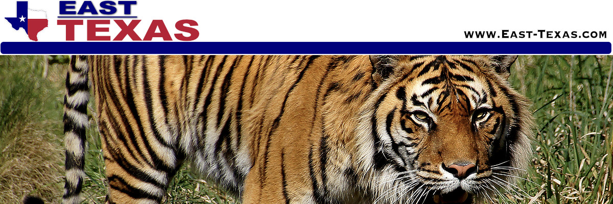 Texas Zoos, Animal Parks and Drive-thru Safaris