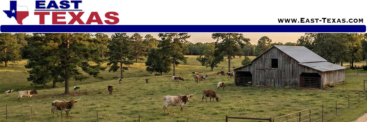 The City of Daingerfield in  Texas