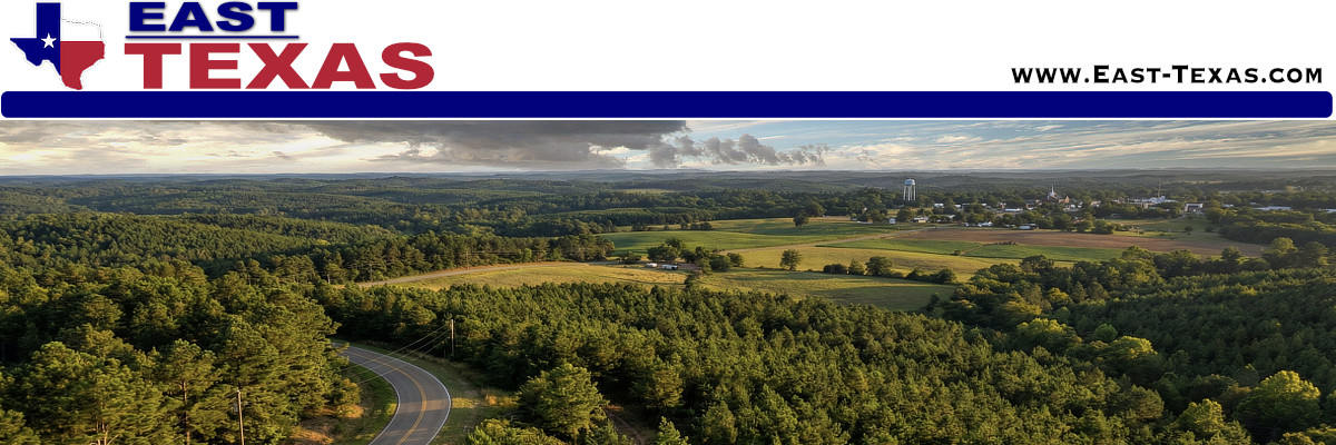 The Upper East Texas Region, cities, counties, maps and resources