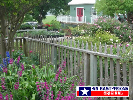 Antique Rose Emporium in Independence, Texas