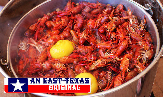 Big, juicy boiled Texas Crawfish 