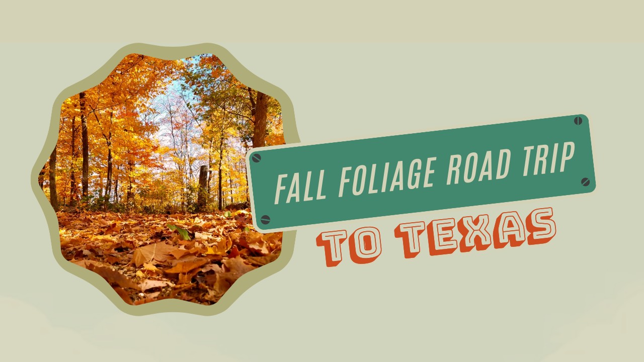 Fall foliage road trip to Texas in 2025