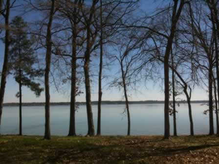 Lake Palestine Texas