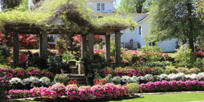 Tyler, Texas and the Spring Azalea Trails