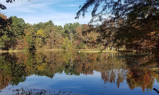 Lake Bob Sandin near Mount Pleasant in East Texas