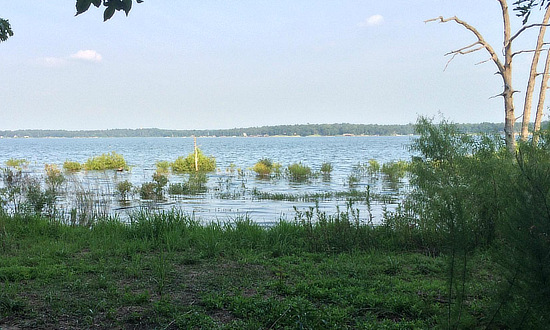 Shoreline scene at Lake Bob Sandlin in East Texas