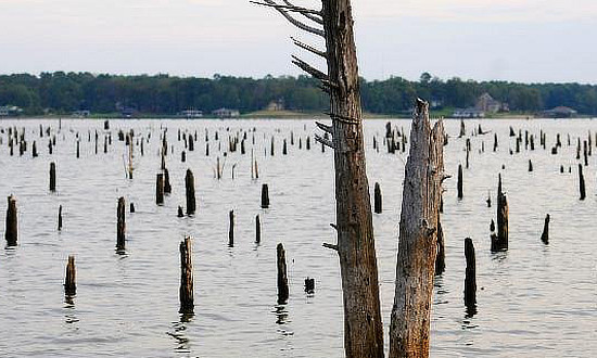 Lake Bob Sandin near Mount Pleasant in East Texas