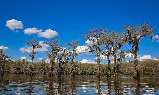 Lake O' the Pines in East Texas