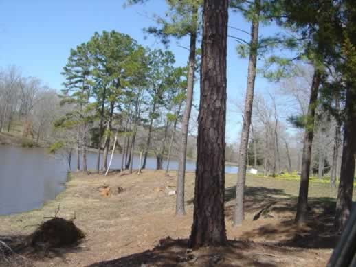 Lake at Lee Daffodil Garden near Gladewater, Texas