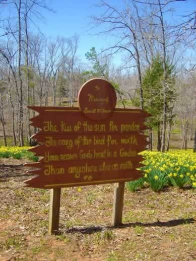 Lee Daffodil Garden near Gladewater, Texas, just off U.S. Highway 271 Lee Daffodil Garden near Gladewater, Texas, just off U.S. Highway 271