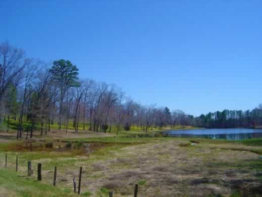 A glade, with water, in Texas near Gladwater