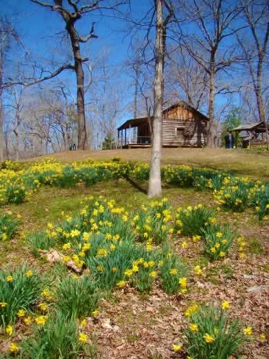 Cabin at Lake Josephine near Gladewater Texas Cabin at Lake Josephine near Gladewater Texas