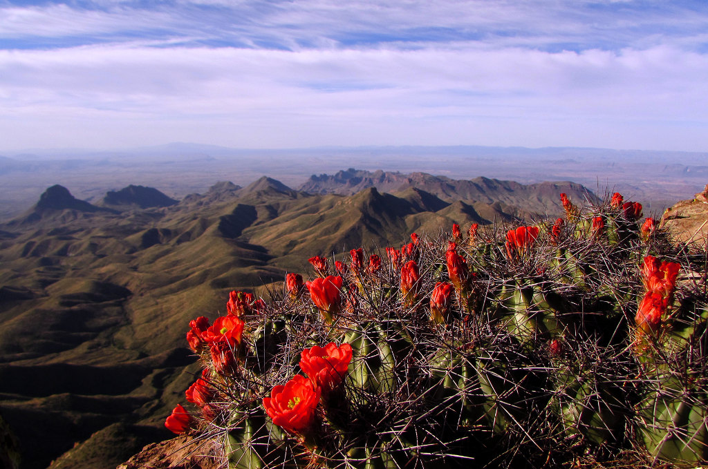 South Rim vista at Big Bend National Park in southern Texas