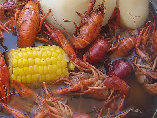Texas Boiled Crawfish