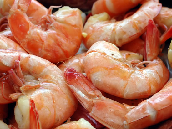 Texas Boiled Gulf Shrimp