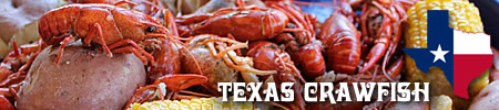 Texas crawfish!