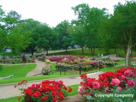 Grounds of the Municipal Rose Garden, Tyler, Texas